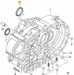 02M301189G - Front Axle Flange Seal/Ring - Audi & Volkswagen