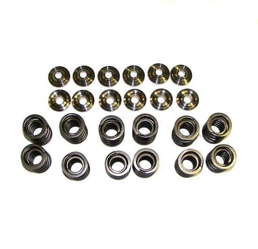 034-201-8013 Valve Spring Set with Ti Retainers, 12v VR6