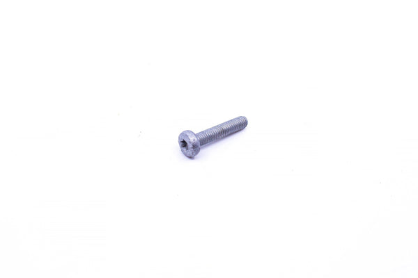 N10156206 - Hexagon Socket Head Bolt