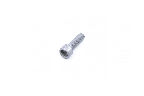 N10552102 - Socket Head Bolt with Hexagon Socket Head