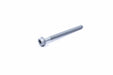 N10764601 - Screw with Int. Serrations